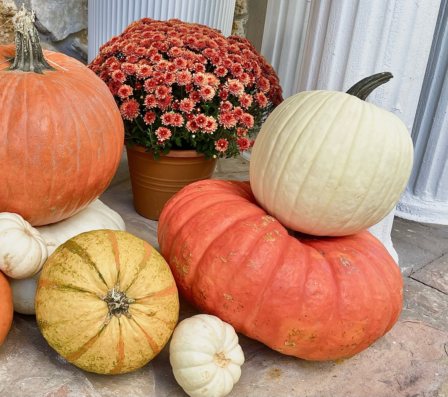 Pumpkin Decorating Packages