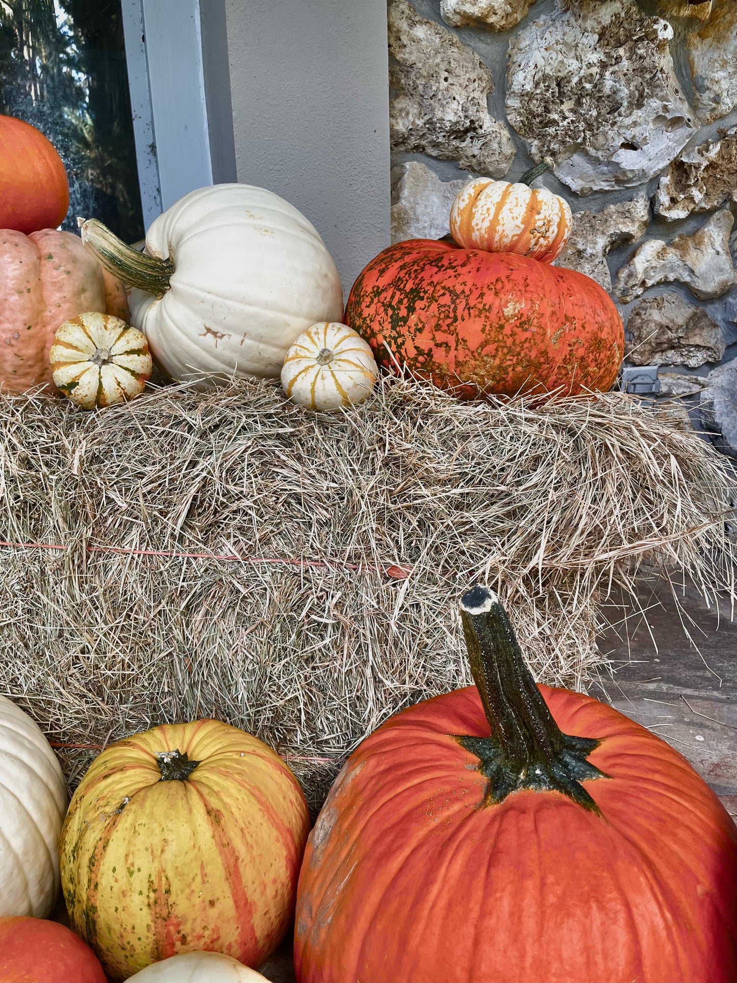 Pumpkin Porch Package 1