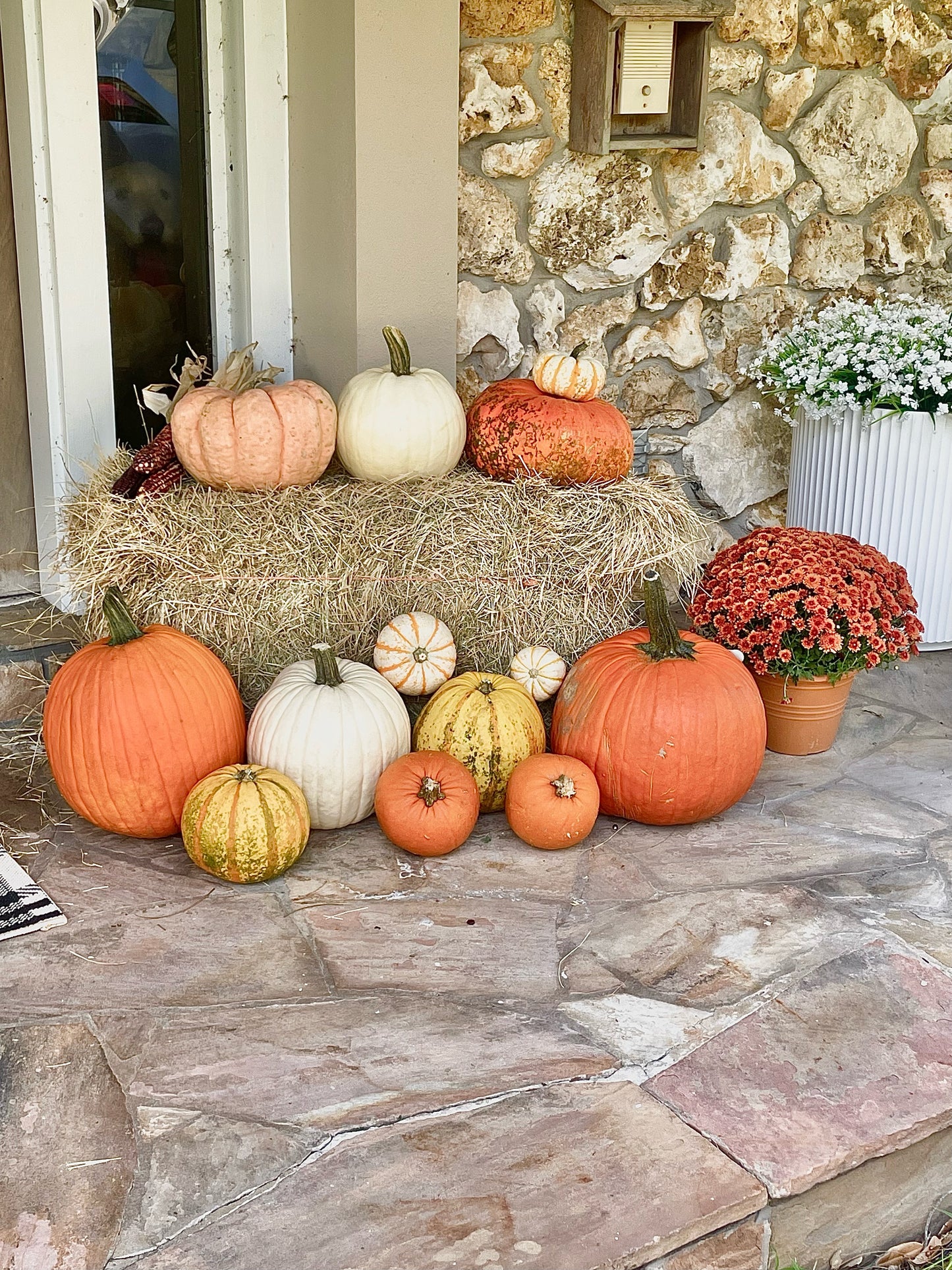 Pumpkin Porch Package 3