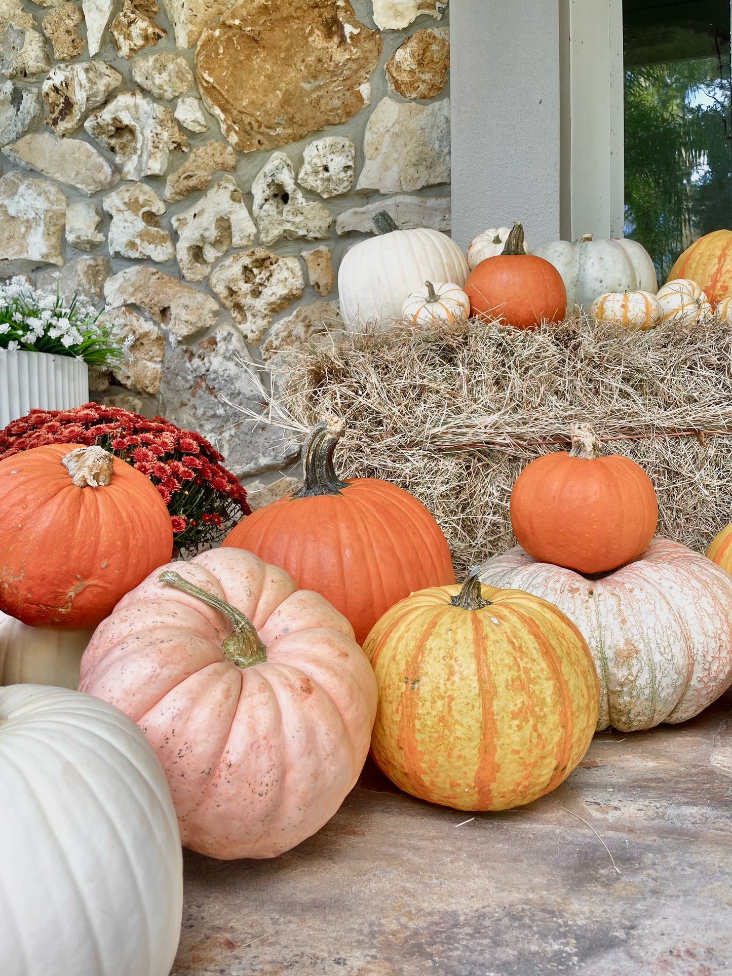 Pumpkin Porch Package 1