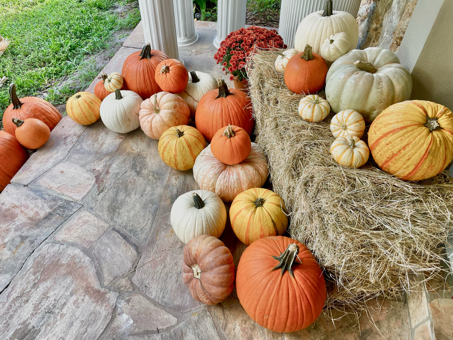 Pumpkin Porch Package 1