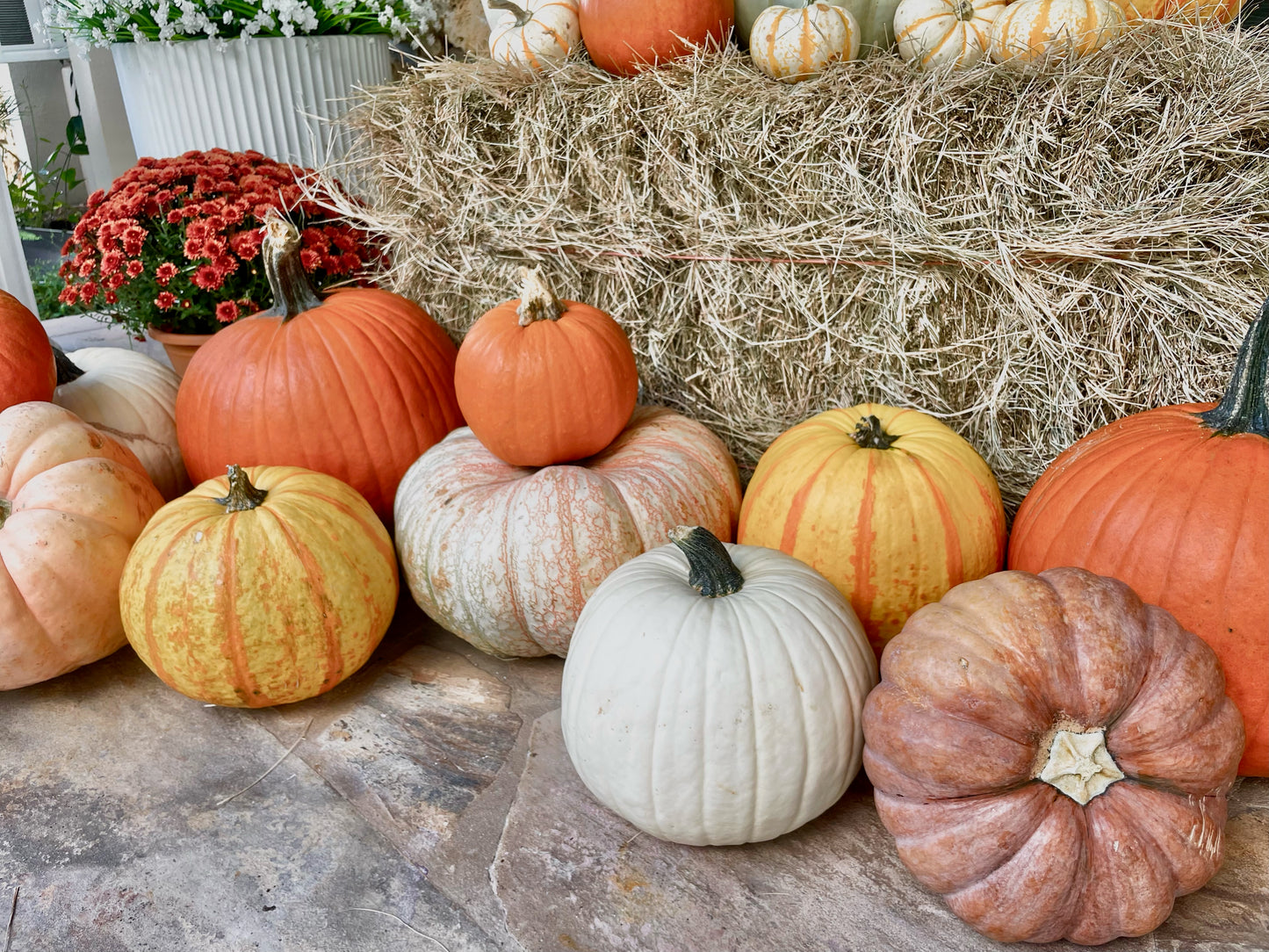 Pumpkin Porch Package 1