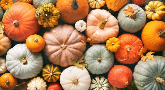 Pumpkin Removal for Package 1 or 2