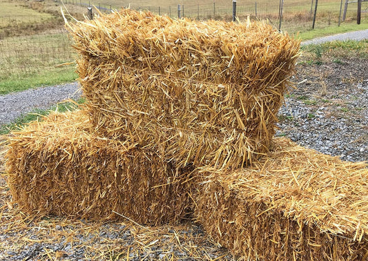 Hay Bale